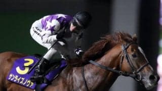 マイルCS南部杯など重賞5勝を挙げたダートの古豪が引退 今後は種牡馬に