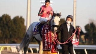 東京大賞典4連覇のオメガパフュームが引退 レックススタッドで種牡馬入り