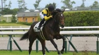 【阪神JF予想】AIが好走馬の傾向をチェック!! 指名したなかなか侮れない一頭とは？