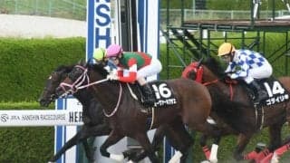 【カペラS展望】波乱含みのダートスプリント戦、あの馬の大駆けに期待したい