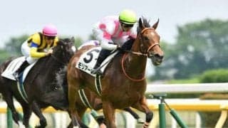 阪神JFは２歳戦に強いエピファネイア産駒から、３連勝を狙う「末脚自慢」が推し。対抗馬も含めて「旬の牝系」は要チェック