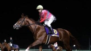 3歳馬ペイシャエスや古豪クリンチャーなどが出走 新装名古屋の長距離DG/名古屋グランプリ注目馬