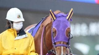 JpnI/GI馬3頭など12頭の重賞ウイナーが集結！ 今夜20時10分発走/大井・勝島王冠注目馬