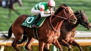 【阪神JF出走馬・騎手確定】ラヴェル＆坂井瑠星騎手、リバティアイランド＆川田将雅騎手など18頭