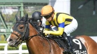 【中日新聞杯出走馬・騎手確定】プログノーシス＆藤岡佑介騎手、マテンロウレオ＆横山典弘騎手など18頭