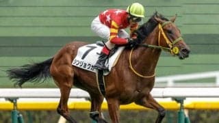 【阪神JF】9分の3の抽選をダノンシャークの姪などが突破 ステイフーリッシュの半妹は除外に