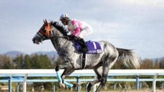 【カペラS出走馬・騎手確定】リュウノユキナ＆柴田善臣騎手、オメガレインボー＆岩田康誠騎手など16頭