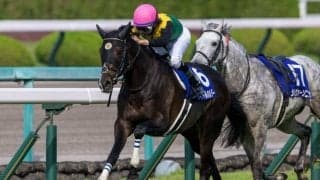 【有馬記念】タイトルホルダーがファン投票1位