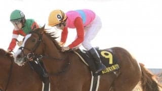 【名古屋グランプリ】菅原明「凄くうれしく思う」ペイシャエスが重賞2勝目