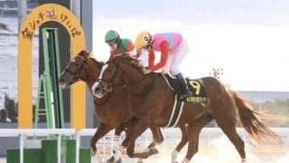 【名古屋グランプリ】3歳馬 ペイシャエスがゴール寸前で差し切りV