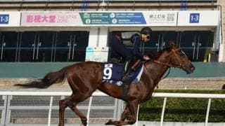 【香港マイル】サリオスは有終なるか 8番ゲートへ