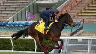 【香港スプリント】メイケイエールは大外へ