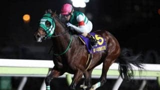 【大井・勝島王冠結果】ライトウォーリアが好位追走から抜け出して重賞連勝