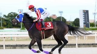 【全日本2歳優駿】オマツリオトコなど JRA出走予定馬5頭