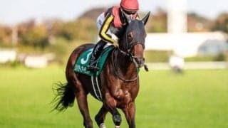 【阪神JF】衝撃の上がり31秒4！ 夏の新潟で見せた驚異の末脚再現なるか