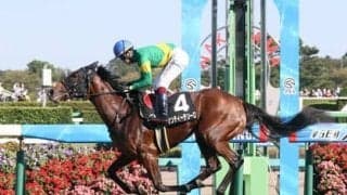 阪神JFはビッグボーナスを得るチャンス。狙いは過去に数多くの好走例がある２パターンから導いた穴馬候補