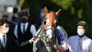 【カペラS枠順確定】リュウノユキナは1枠1番、オメガレインボーは7枠13番