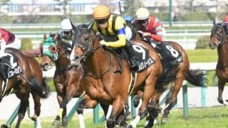 【中日新聞杯枠順確定】プログノーシスは3枠6番、マテンロウレオは8枠16番