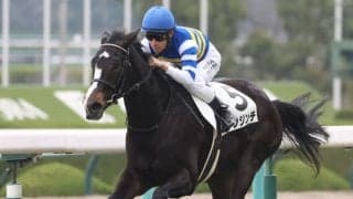 【新馬/阪神5R】良血トンジンチがデビューV！4馬身差逃げ切り