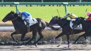 【新馬/中山4R】マーカンド騎乗 タイセイマンボがデビューV