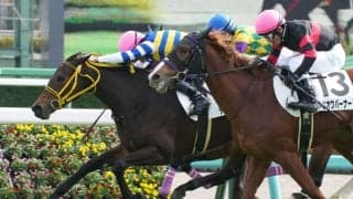 【新馬/中山5R】サトノダイヤモンド産駒 ディヴァージオンがデビューV