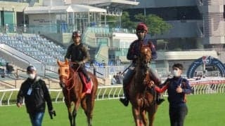 【香港国際競走】12月8日の日本馬14頭の近況