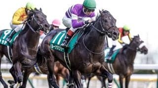 【次走】イルーシヴパンサーは岩田望来騎手とのコンビで京都金杯へ