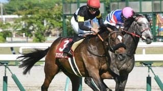 【中日新聞杯予想】GI出走馬も苦戦傾向!? 命運を分ける前走の位置取り