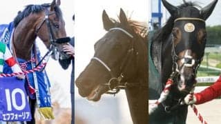 【有馬記念想定】前年覇者エフフォーリア、ジャパンC覇者ヴェラアズール、同一年グランプリ制覇狙うタイトルホルダーなど18頭 