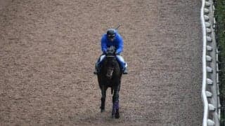 【中日新聞杯 注目馬】ダービー馬の弟がイギリス期待のホープとコンビで重賞初制覇へ