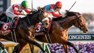 【ホープフルS想定】ガストリック、グリューネグリーン、ミッキーカプチーノなど17頭