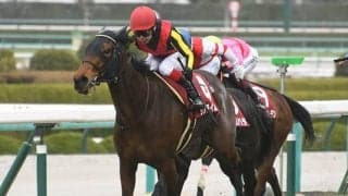 【ターコイズS想定】エリカヴィータやサブライムアンセム、ママコチャなど20頭