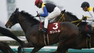 【中日新聞杯予想】傾向のつかみにくいハンデ戦の展望は