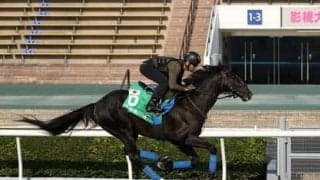 香港国際競走は日本馬の「４レース独占」も夢ではない。馬券面で妙味がありそうな海外馬もチェック