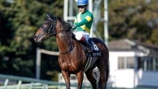 【阪神JF予想】激走のサインは前走にあり!? 気温低下に耐えられる穴馬の特徴とは