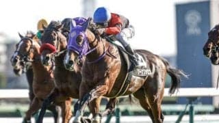 【黒松賞結果】ブーケファロスが追い込みを決めて2勝目