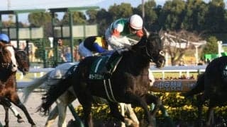 【中日新聞杯結果】キラーアビリティが接戦を制し1年ぶりの白星、3歳馬のワンツー