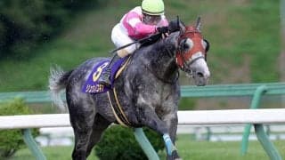 【カペラS予想】同距離の前走は番手に注目!? スプリント能力が問われるダート重賞