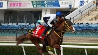 【香港国際競走】日本馬の近況（12月10日）