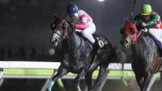 【カペラS前日オッズ】リュウノユキナが4.7倍で1番人気