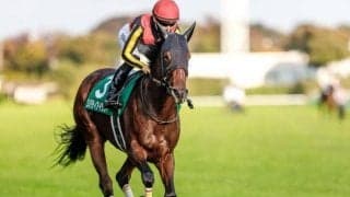 【阪神JF前日オッズ】リバティアイランドが3.5倍で1番人気