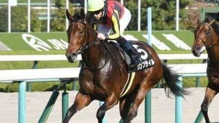 【阪神JF予想】頭数増は危険信号!? 無敗の有力馬に好走できない可能性