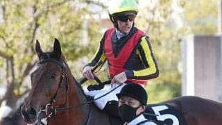 【AI予想・阪神JF】無敗の良血馬が混戦を制する!? 別格の走りを見せたハイレベルレース