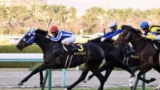 【リゲルS】ベルシャザール産駒 シャイニーロックがオープン初勝利