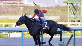 【エリカ賞】3連単269万円の大波乱！レミージュが逃走V