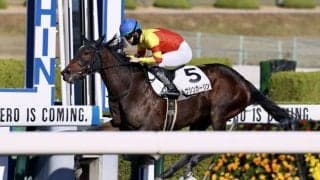 【新馬/阪神6R】マクフィ産駒 トーシンカーリンがデビューV