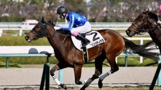 【新馬/阪神5R】サトノクラウン産駒 フリンジティアラが逃げ切りV