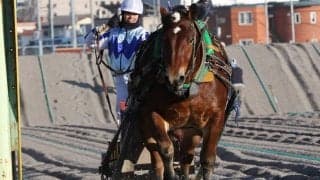 今井千尋「手が震えた」ばんえい競馬 新人騎手初騎乗
