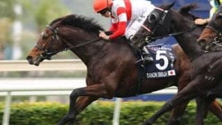 「名スプリンター」ダノンスマッシュの全弟、ダノンプレジャーは兄を超える器か