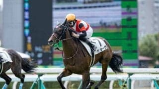 【阪神JF予想】勝つのは5番人気以内の前走○○組？ 一番有利な枠＆ラッキー馬番はどれだ？